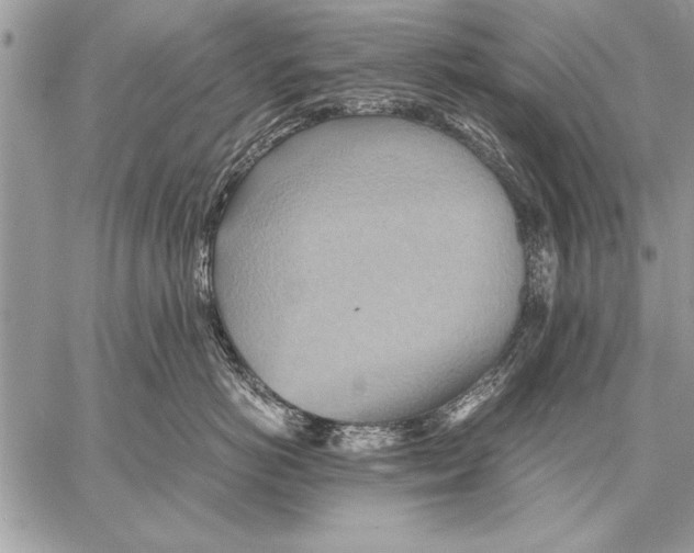 X0000057580766200510171707