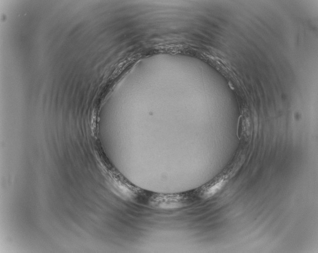 X0000057580767200510171707