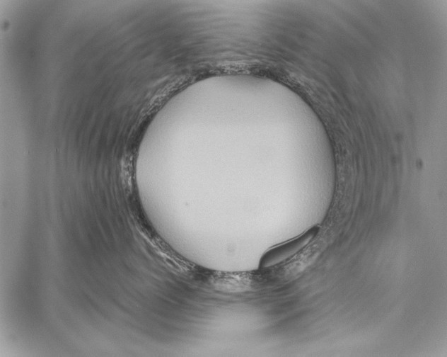 X0000057580768200510171707