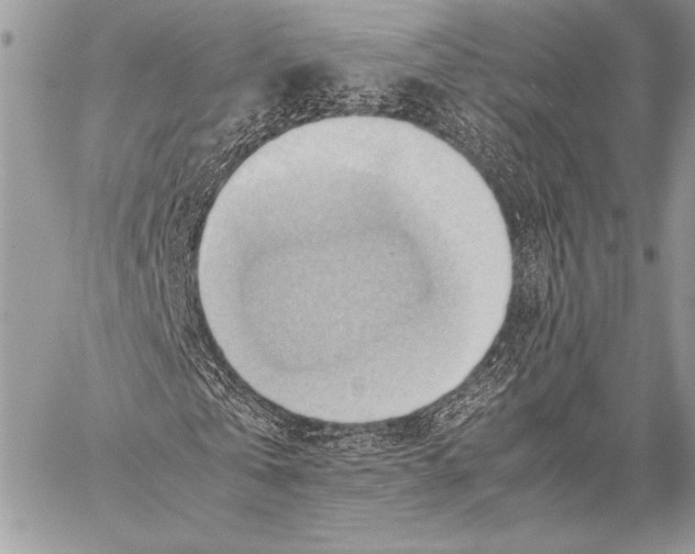 X0000057580769200510171707