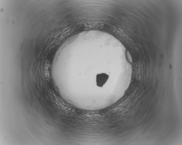 X0000057580770200510171707