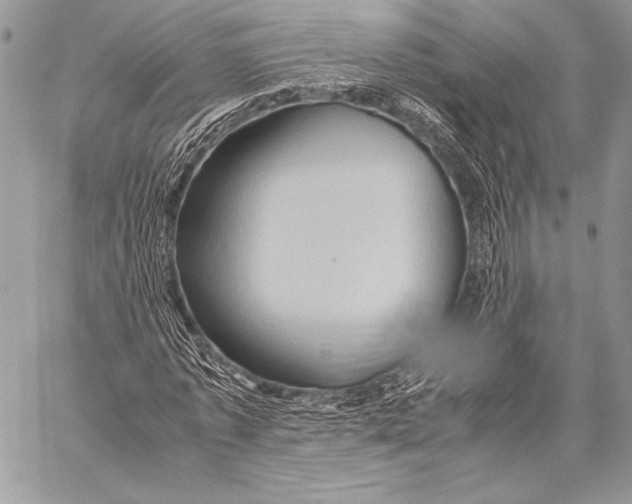 X0000057580773200510171707