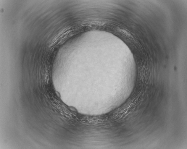 X0000057580774200510171707