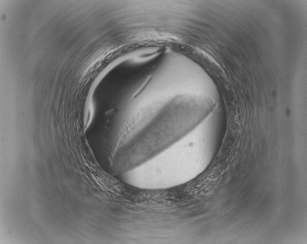 X0000057580775200510171707