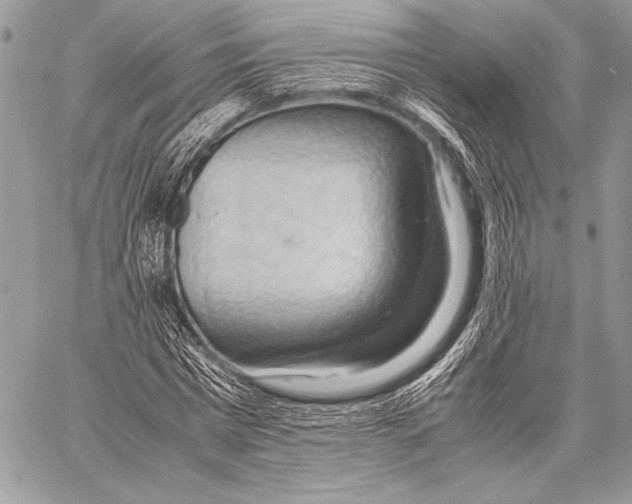 X0000057580777200510171707