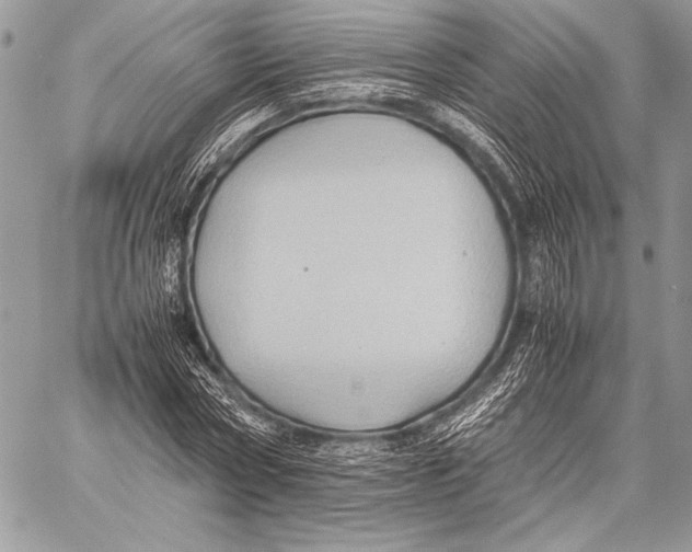 X0000057580778200510171707