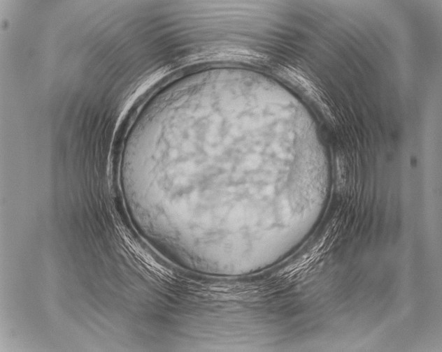 X0000057580780200510171706