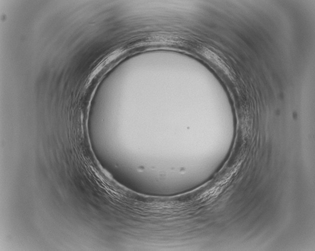 X0000057580781200510171706