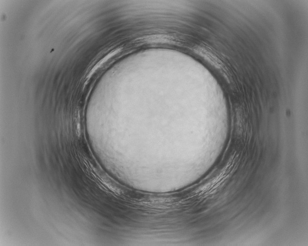 X0000057580782200510171706