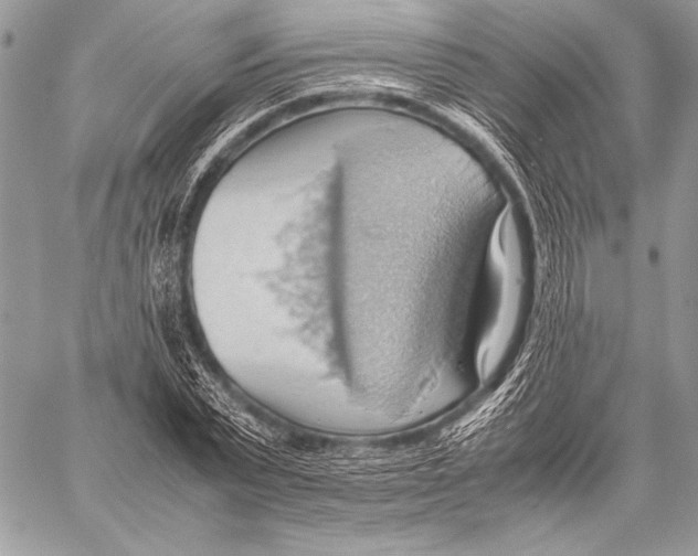 X0000057580783200510171706