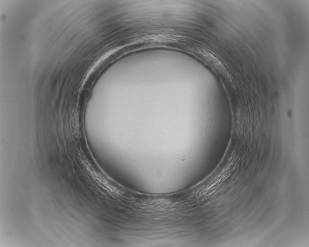 X0000057580784200510171706