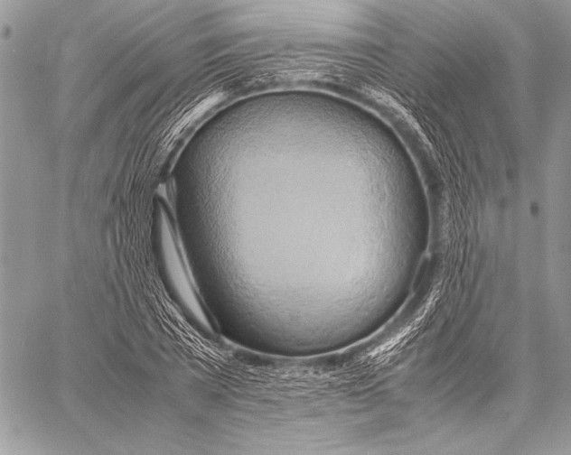 X0000057580785200510171706