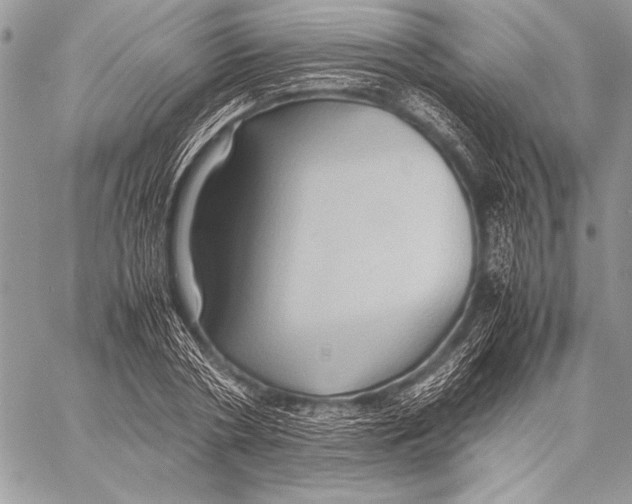 X0000057580786200510171706