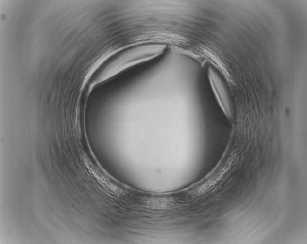 X0000057580788200510171706