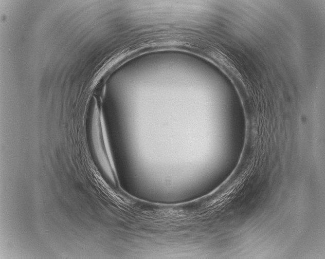 X0000057580789200510171706