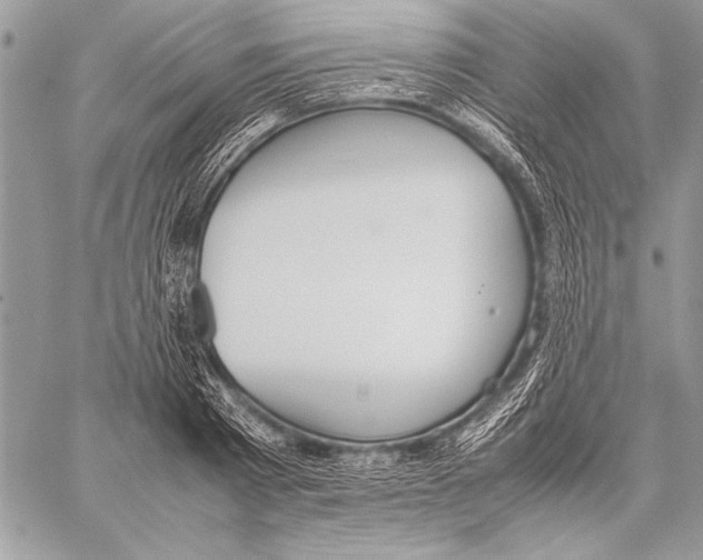 X0000057580793200510171706