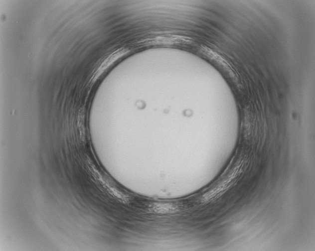 X0000057580794200510171706