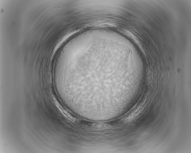 X0000057580795200510171706