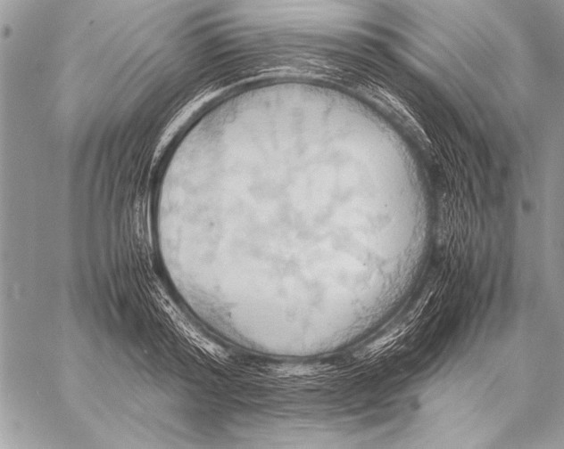 X0000057580796200510171706