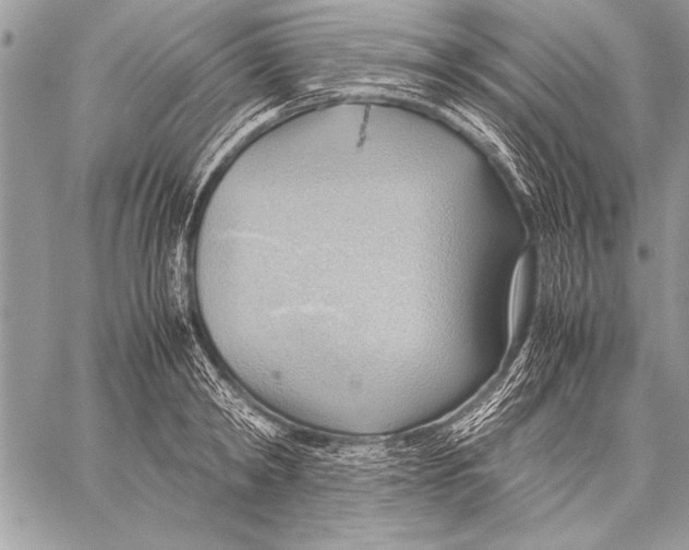 X0000057580798200510171706