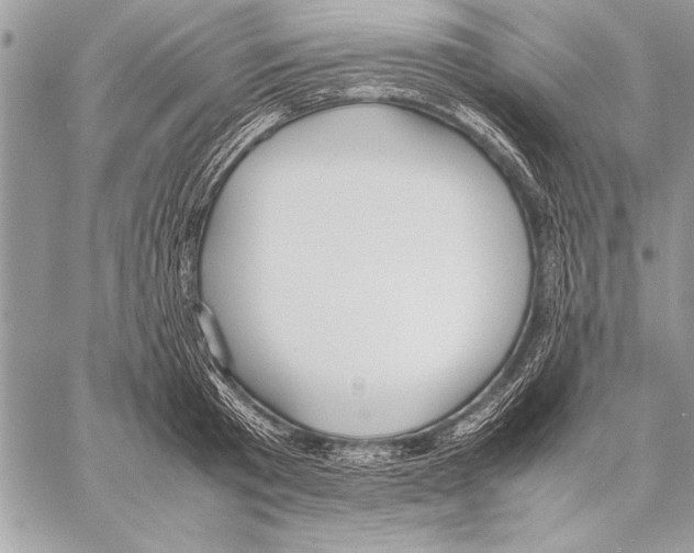 X0000057580801200510171706