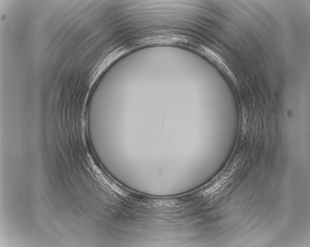 X0000057580802200510171706