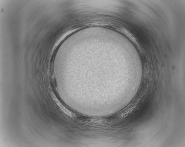 X0000057580803200510171706