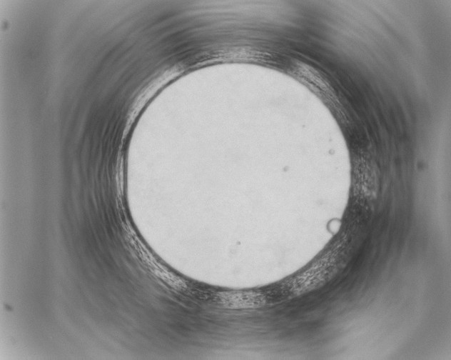 X0000057580804200510171706