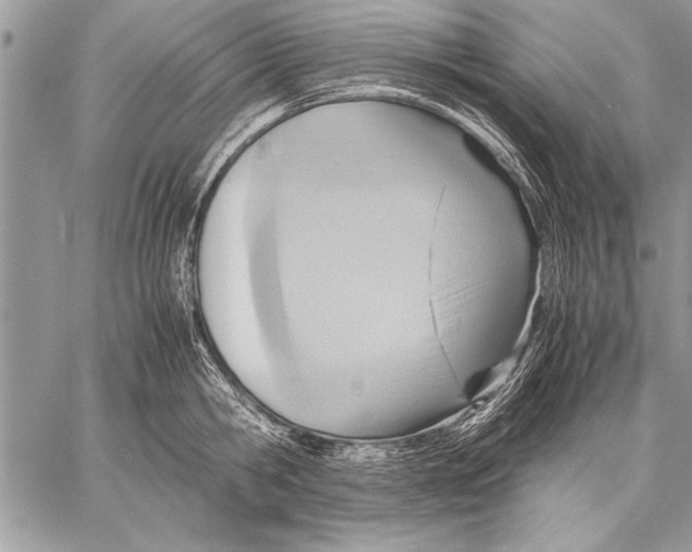 X0000057580806200510171706