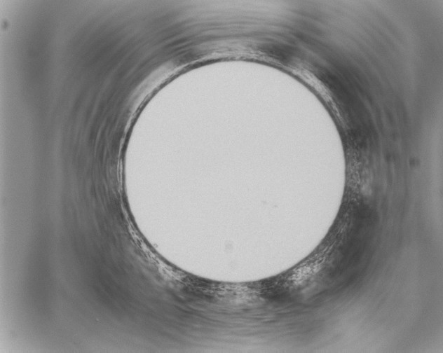 X0000057580807200510171706