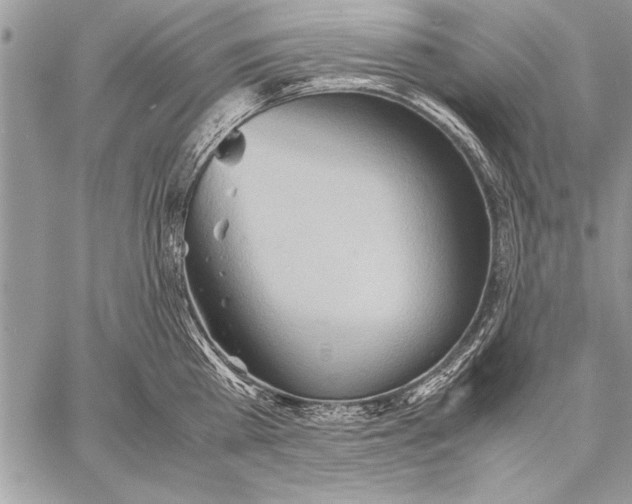 X0000057580809200510171706