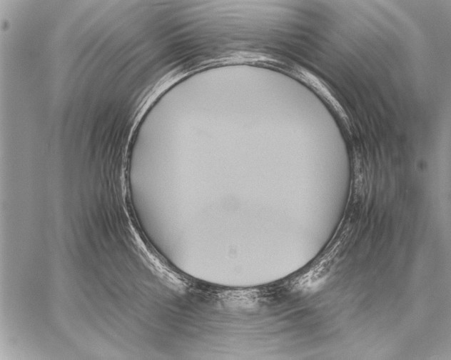 X0000057580810200510171706