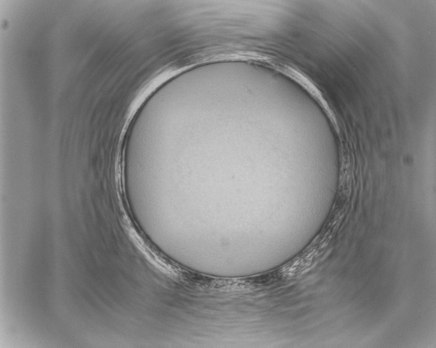 X0000057580811200510171706