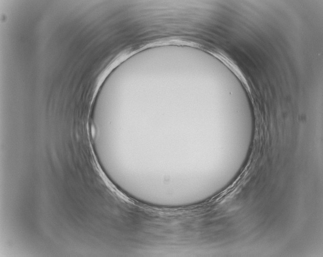 X0000057580813200510171706