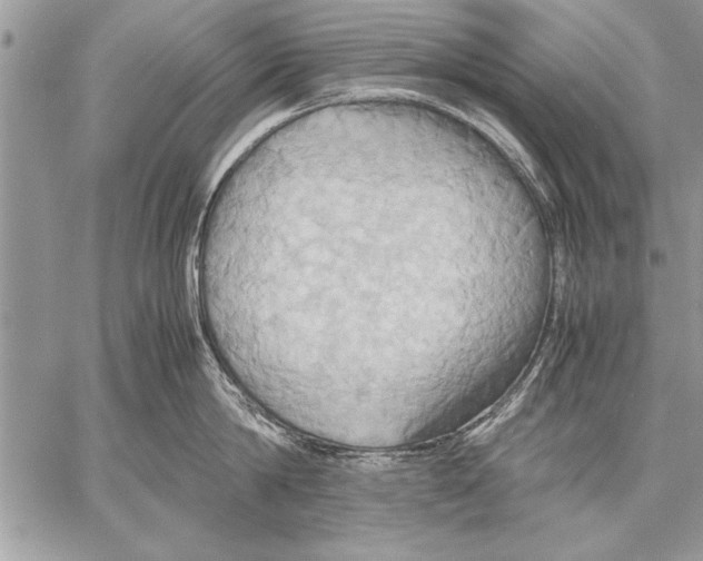 X0000057580814200510171706