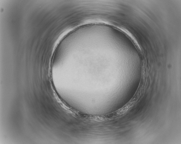 X0000057580815200510171706