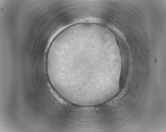 X0000057580816200510171706