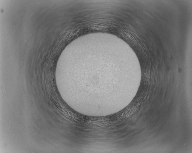 X0000057580817200510171705