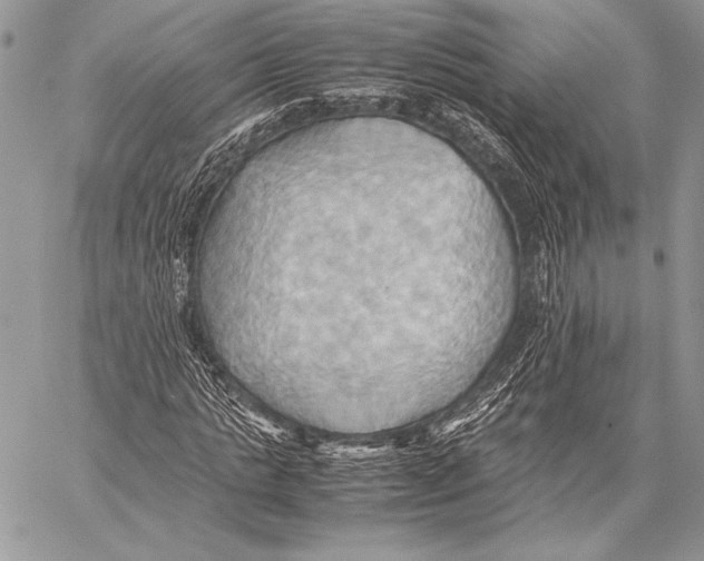 X0000057580821200510171705