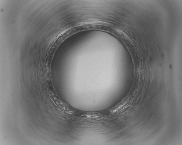 X0000057580822200510171705