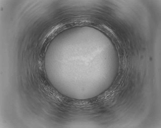 X0000057580823200510171705