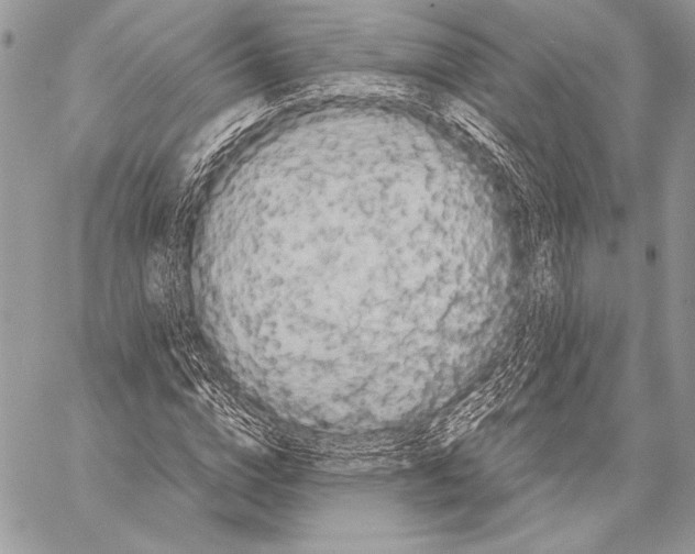 X0000057580824200510171705