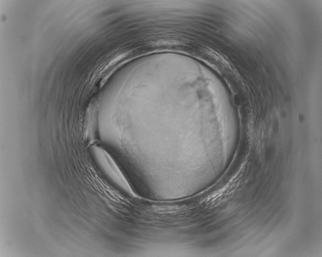 X0000057580825200510171705