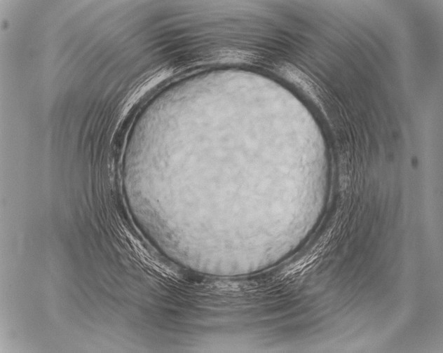 X0000057580827200510171705