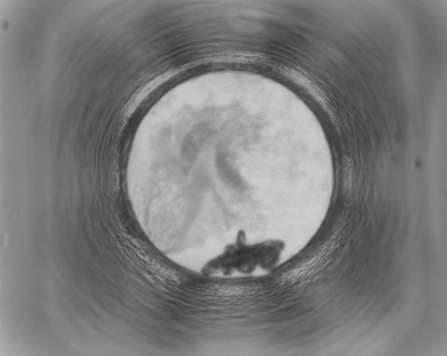 X0000057580829200510171705