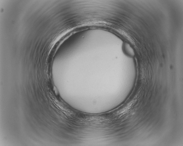 X0000057580830200510171705