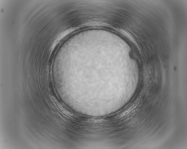 X0000057580831200510171705