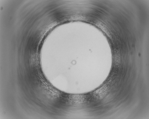 X0000057580832200510171705