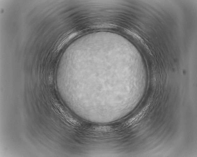 X0000057580833200510171705