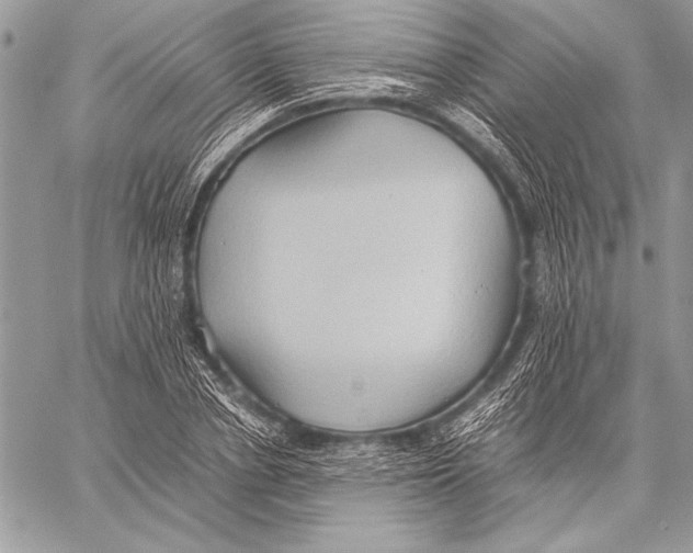 X0000057580834200510171705